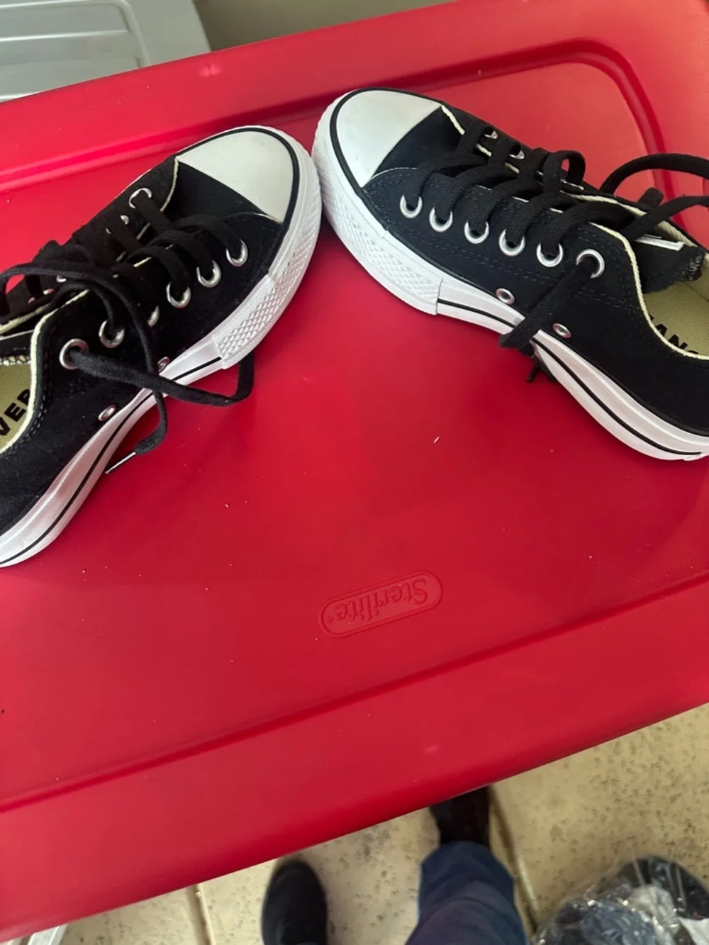 Converse Black Low-Top Sneaker with White Trim - Picture 4 of 5